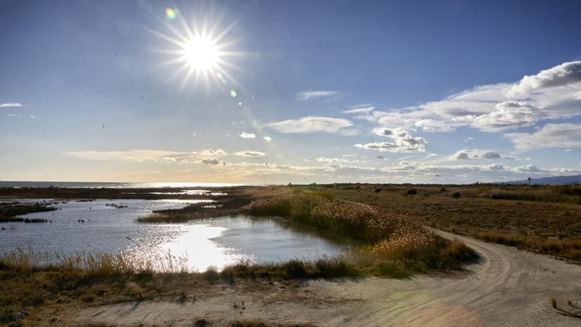 Civic Alliance Demands Government Implement EU Nature Restoration Plan