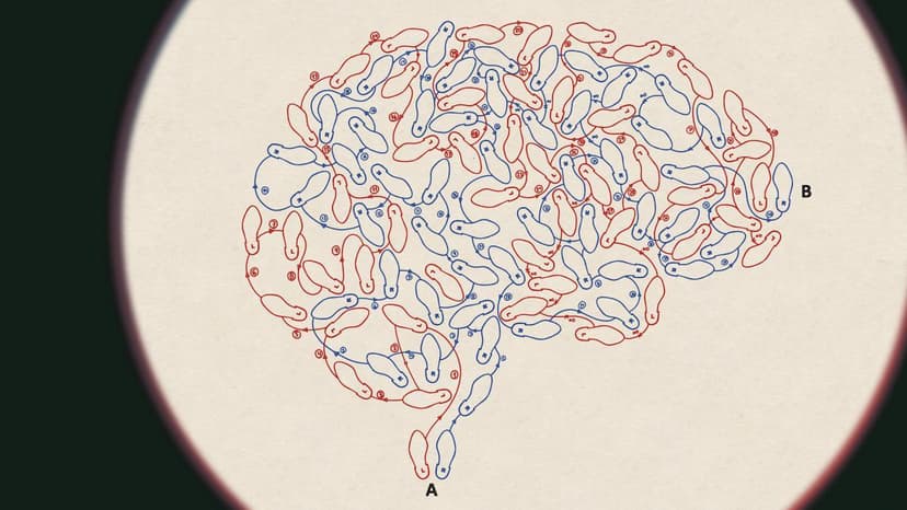 La nueva obsesión de la cultura es la creatividad