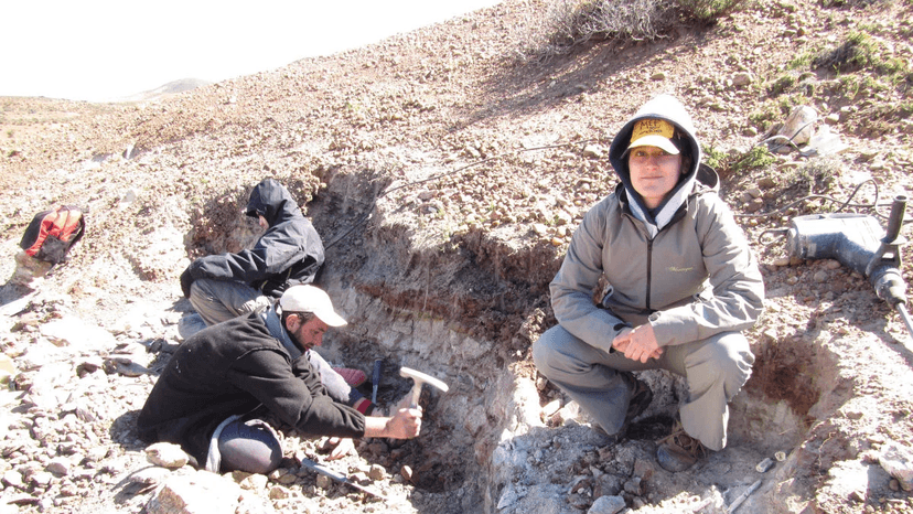 101-Million-Year-Old Fossil Flower Links Patagonia and Teruel