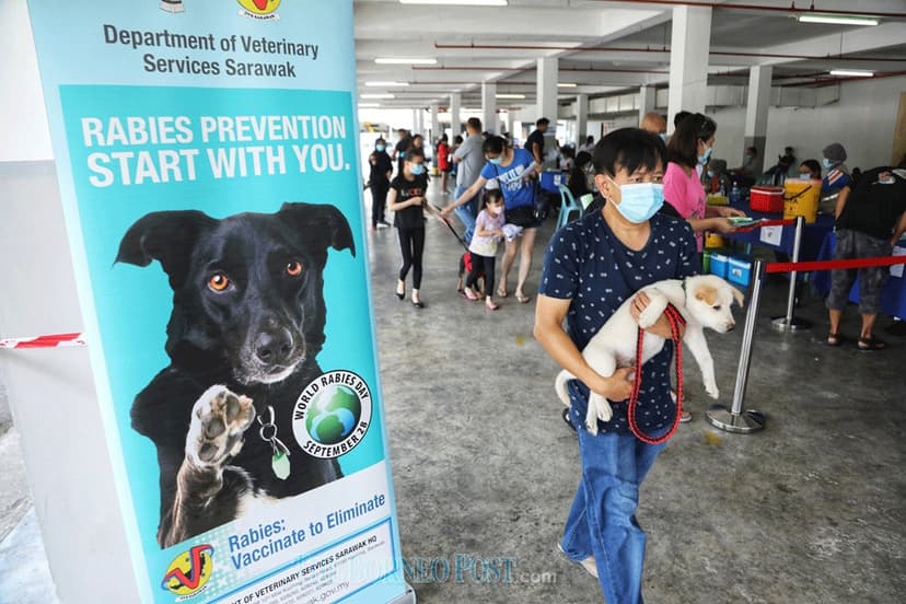 Rabies Cases Rise in Kuching and Serian, Mayor Urges Pet Control