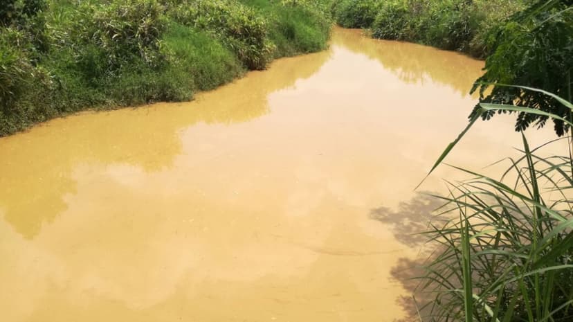 EPA launches pilot exercise to restore polluted Birim River