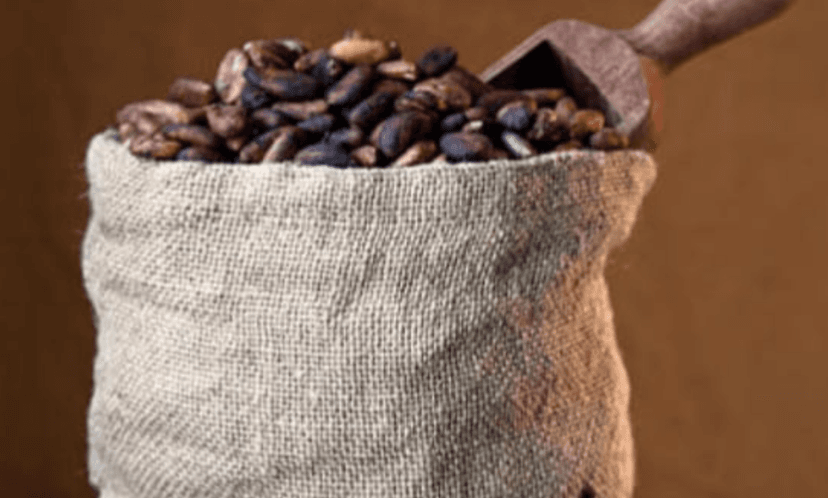 Western North NPP wants NDC MPs to apologise to cocoa farmers over price cut