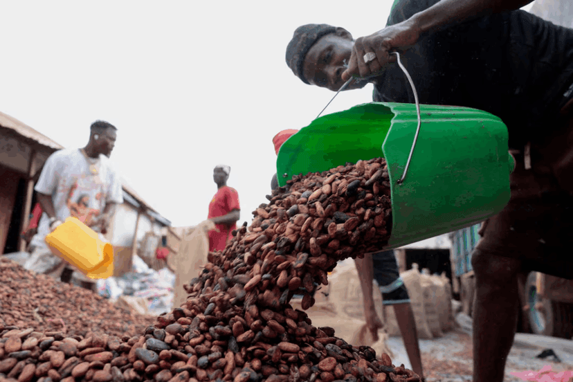 Ivory Coast and Ghana Face Cocoa Stock Crisis Amid Price Standoff