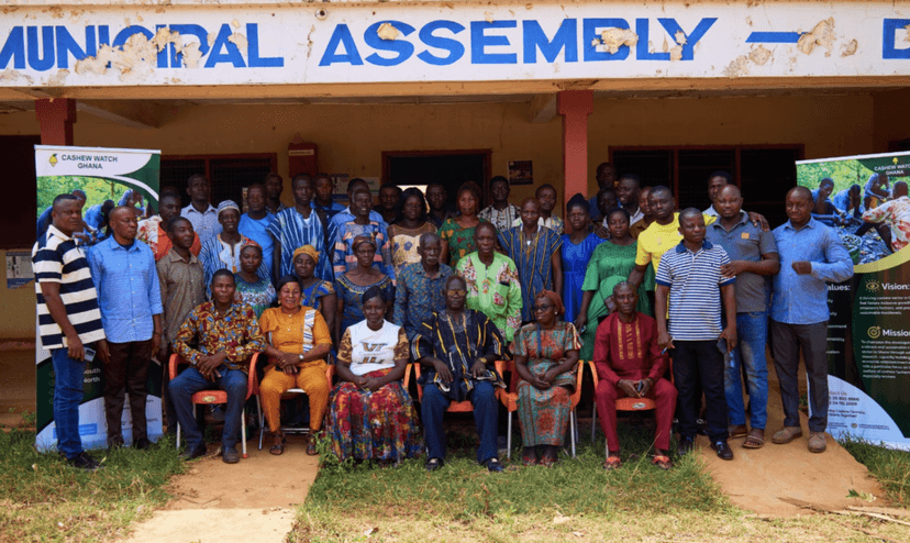Ghanaian Cashew Farmers Urge Government to Establish Cashew Development Board