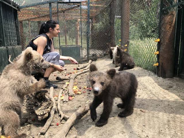Bear Protection Center in Nymfaio, Florina Reopens