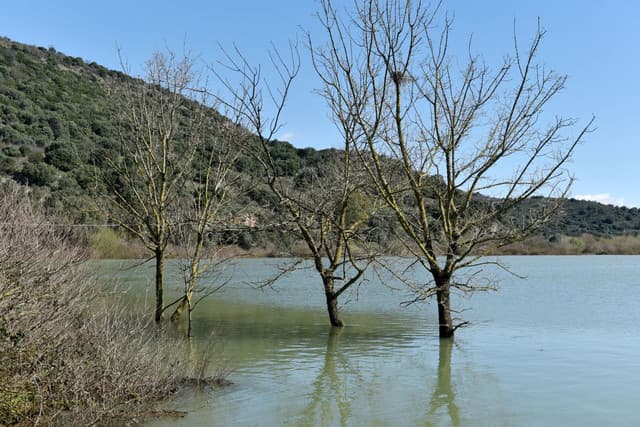 Embankment Breach in Kornofolia Floods Thousands of Acres in Soufli, Greece