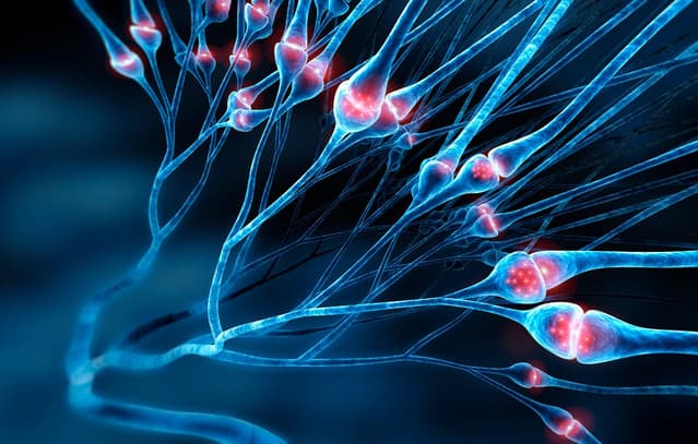 Angelini Pharma and Quiver Bioscience Announce Strategic Partnership for Genetic Epilepsies