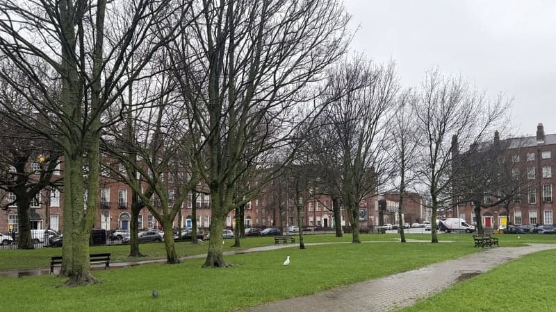 Dublin City Council Unveils Mountjoy Square Park Redevelopment Plans