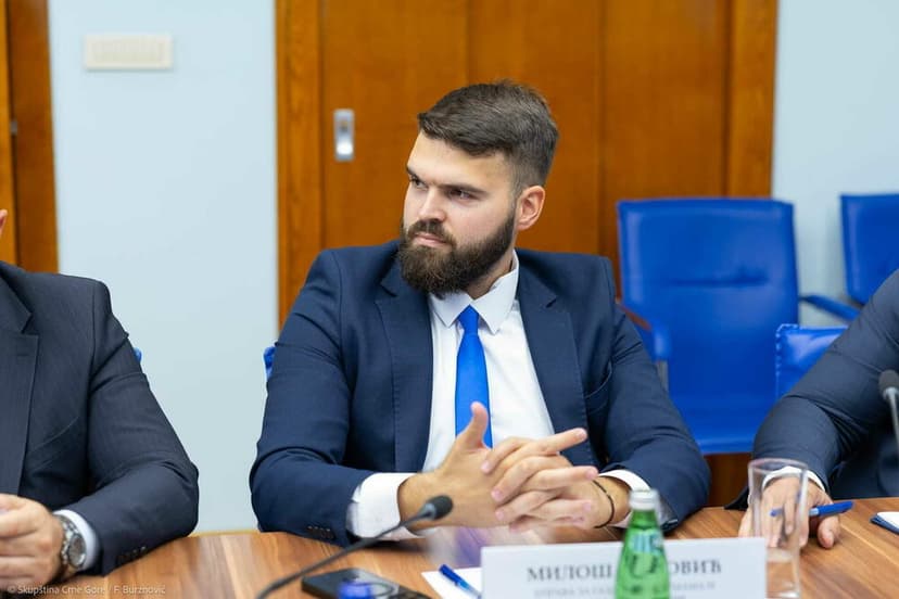 Montenegro faces pellet shortage despite producer stockpiles